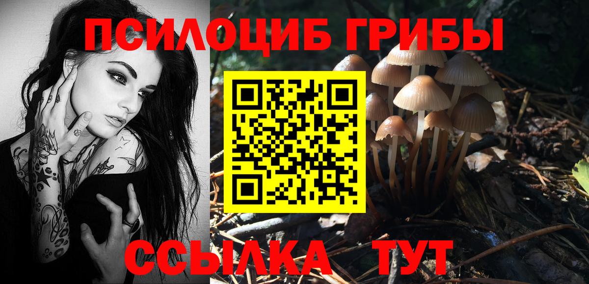 Псилоцибиновые грибы Psilocybine cubensis Каменск-Уральский