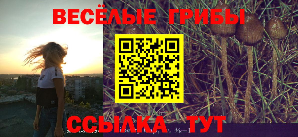 Каменск-Уральский  Галлюциногенные грибы Psilocybine cubensis  Вход с VPN 